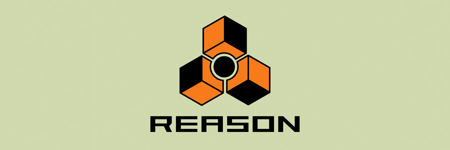 _0011_Reason900x300